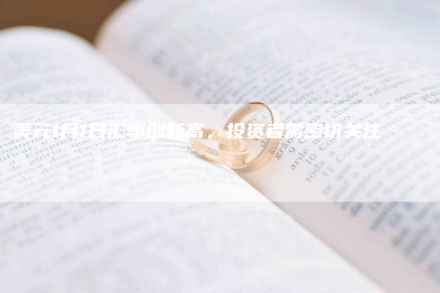 美元1月1日汇率创新高,投资者需密切关注