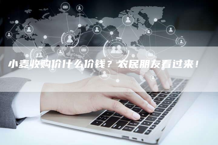 小麦收购价什么价钱？农民朋友看过来！