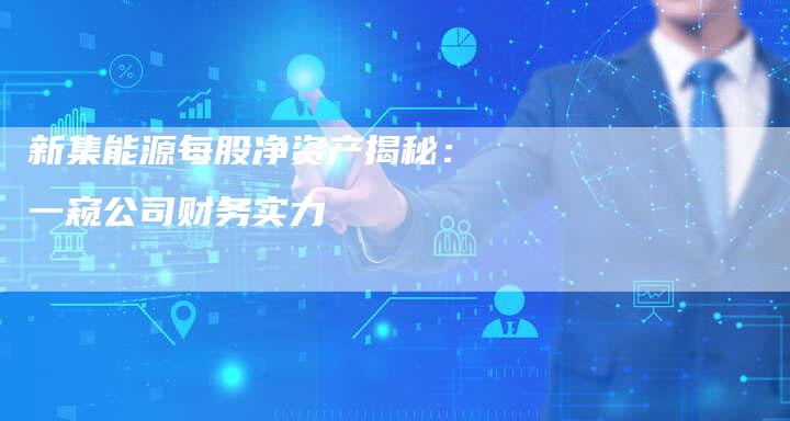新集能源每股净资产揭秘：一窥公司财务实力