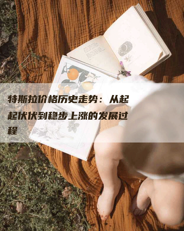 特斯拉价格历史走势：从起起伏伏到稳步上涨的发展过程