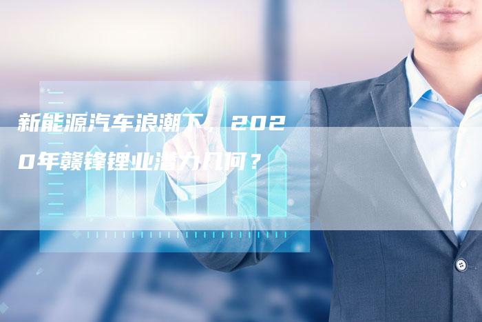 新能源汽车浪潮下，2020年赣锋锂业潜力几何？