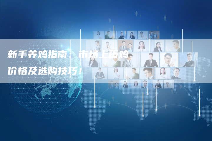 新手养鸡指南：市场上蛋鸡价格及选购技巧！