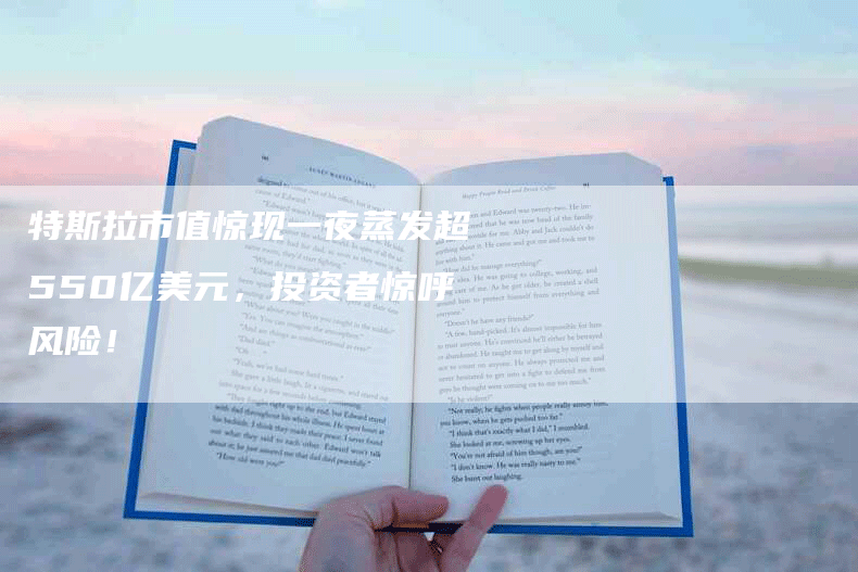 特斯拉市值惊现一夜蒸发超550亿美元，投资者惊呼风险！