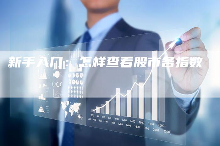 新手入门：怎样查看股市各指数