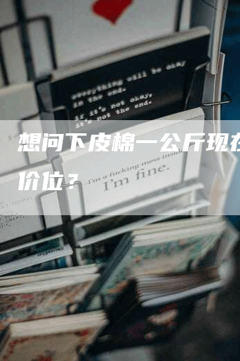 想问下皮棉一公斤现在什么价位？