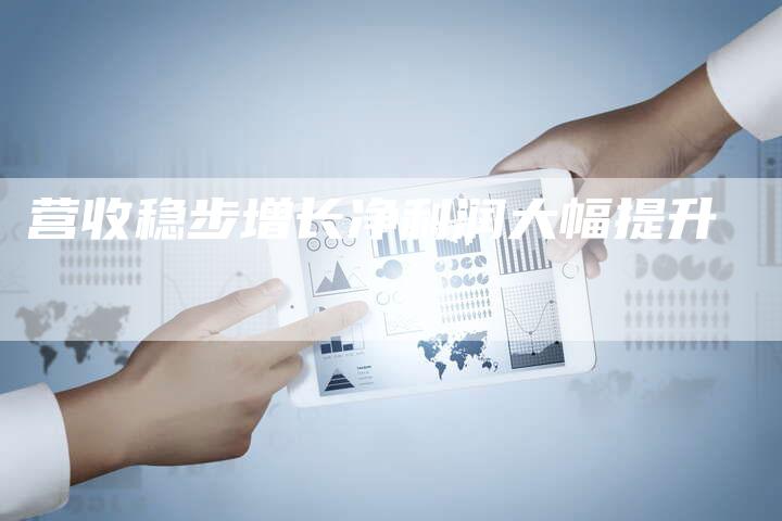 营收稳步增长净利润大幅提升