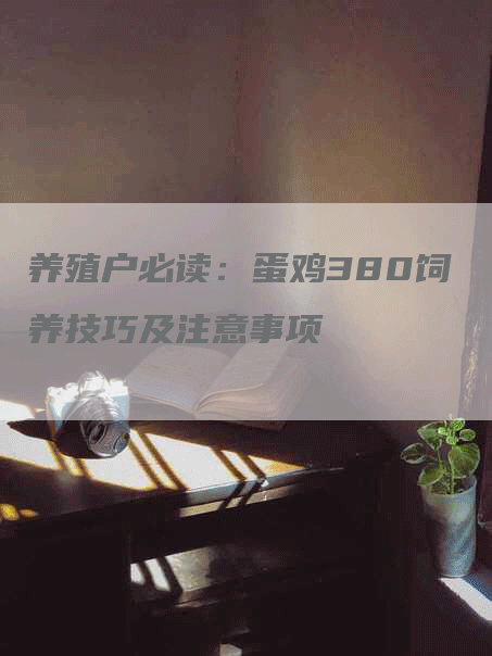 养殖户必读：蛋鸡380饲养技巧及注意事项