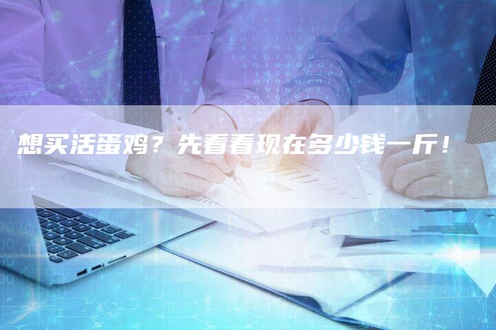 想买活蛋鸡？先看看现在多少钱一斤！