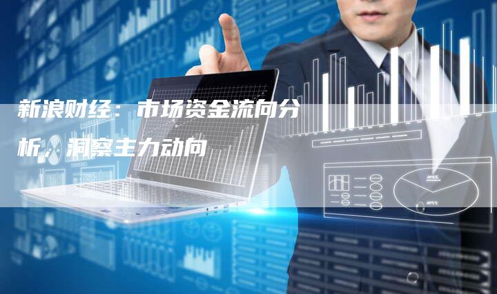 新浪财经：市场资金流向分析，洞察主力动向