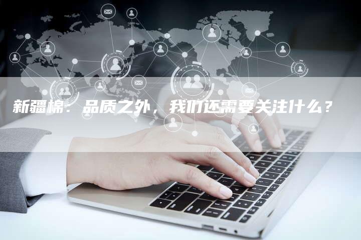 新疆棉：品质之外，我们还需要关注什么？