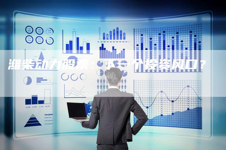 潍柴动力股票:下一个投资风口?