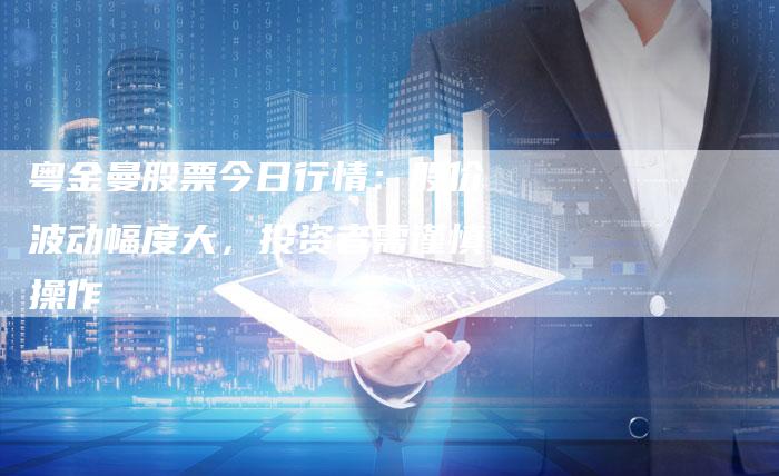 粤金曼股票今日行情：股价波动幅度大，投资者需谨慎操作