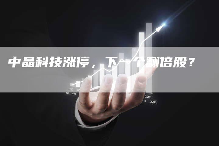 中晶科技涨停，下一个翻倍股？