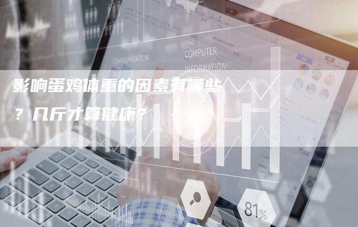影响蛋鸡体重的因素有哪些？几斤才算健康？