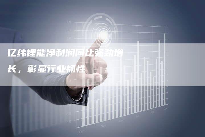 亿纬锂能净利润同比强劲增长，彰显行业韧性