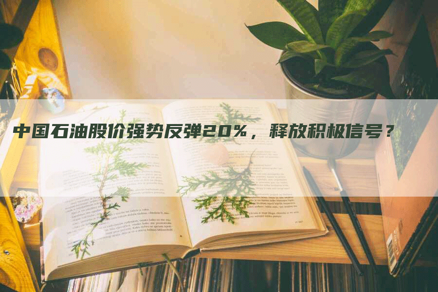 中国石油股价强势反弹20%，释放积极信号？