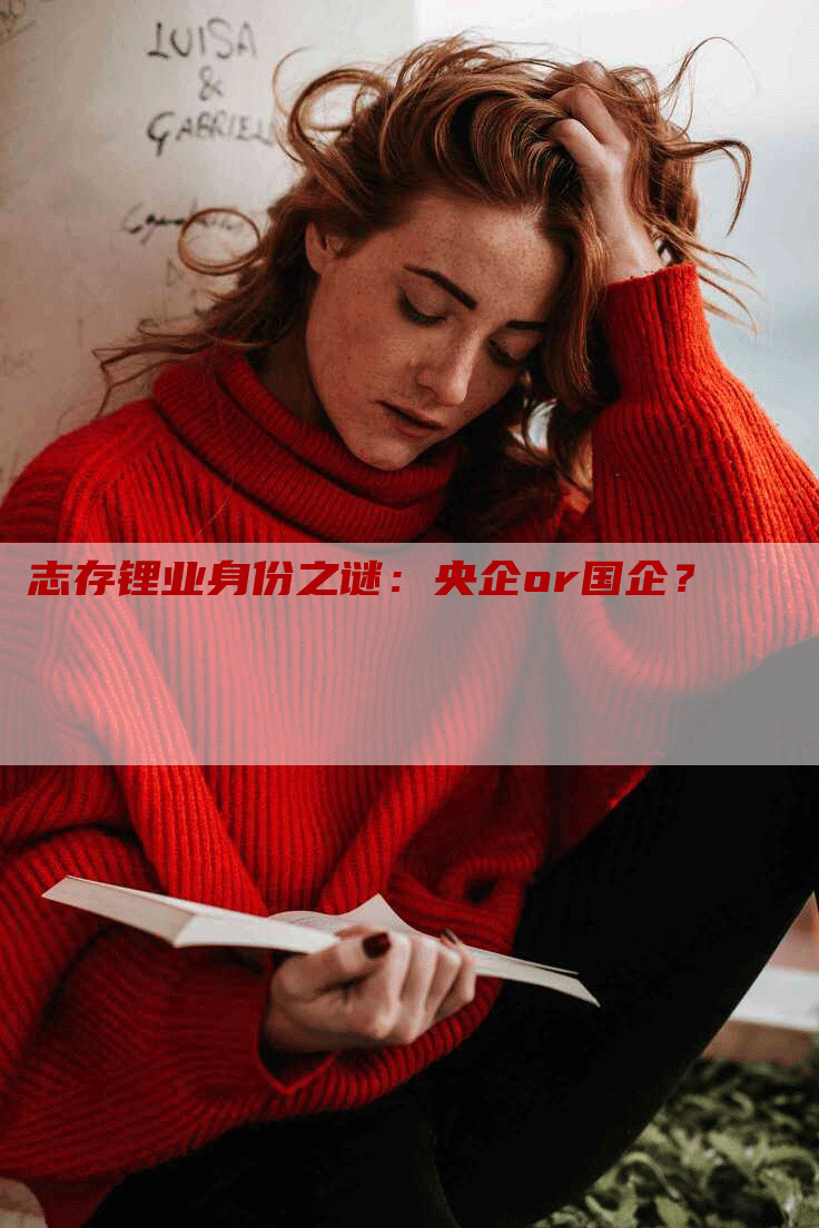 志存锂业身份之谜：央企or国企？