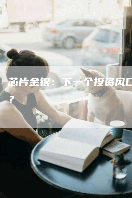 芯片金银：下一个投资风口？