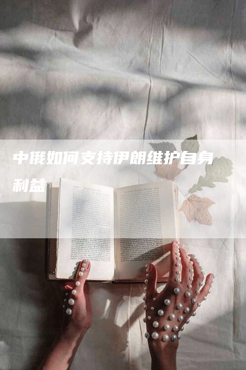 中俄如何支持伊朗维护自身利益