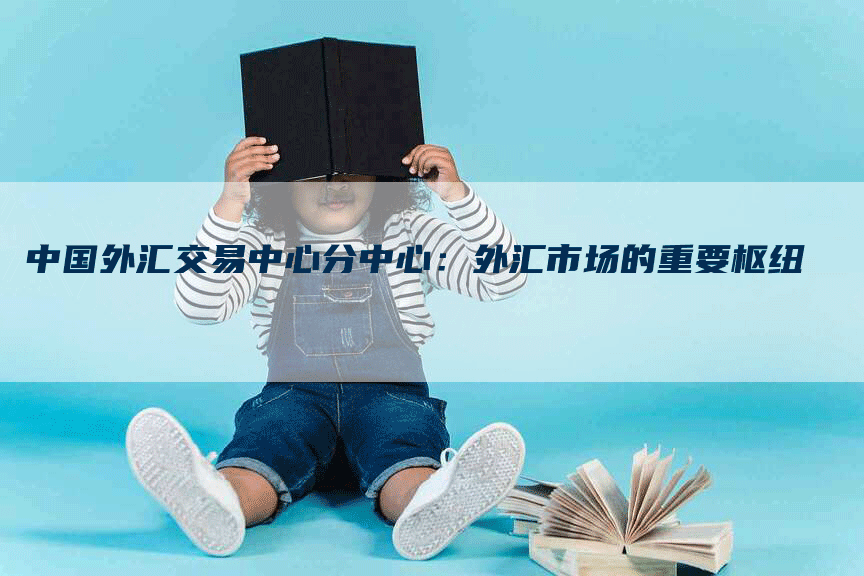 中国外汇交易中心分中心：外汇市场的重要枢纽