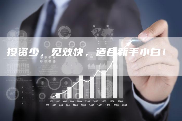 投资少，见效快，适合新手小白！